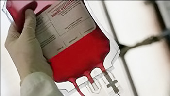 Новосибирские студенты сдали более 870 литров крови 