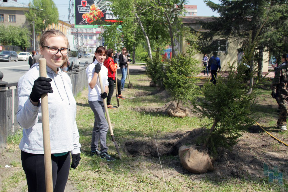 Елки, рододендроны, жасмин и калина появятся в Центральном парке Новосибирска 