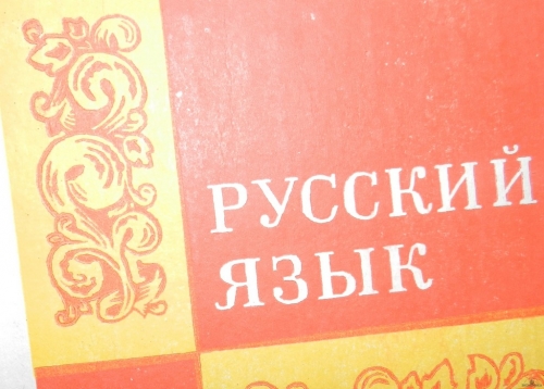 В Новосибирске начинаются бесплатные подготовительные курсы «Русский язык по пятницам»