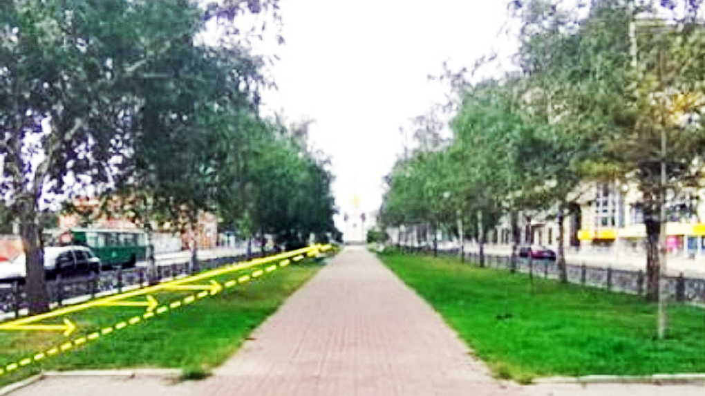 На бульваре в центре Новосибирска вырубят умирающие деревья: чем их заменят