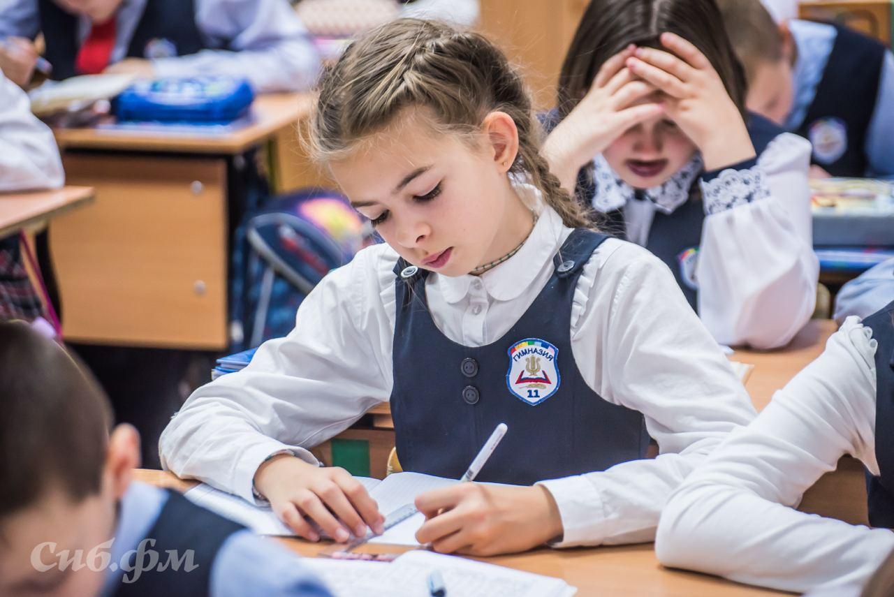 Дефицитные специальности учителей назвала мэрия Новосибирска