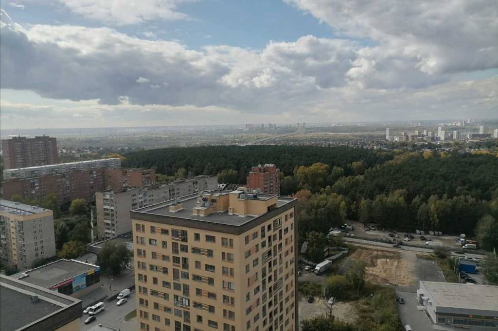 Жителям Новосибирска презентовали проект благоустройства Инюшенского бора
