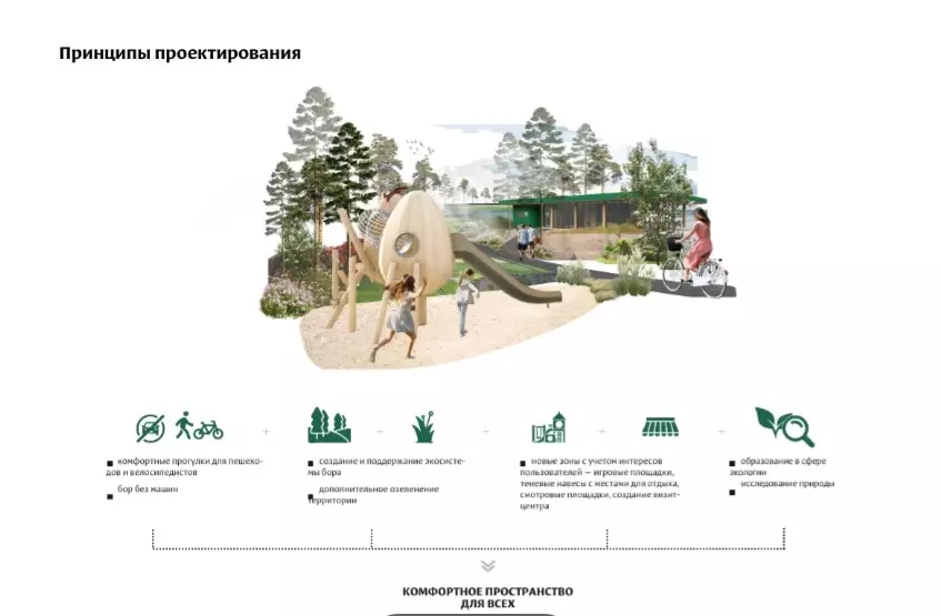 Площадки, амфитеатр: что будет с новосибирским Инюшенским бором после благоустройства