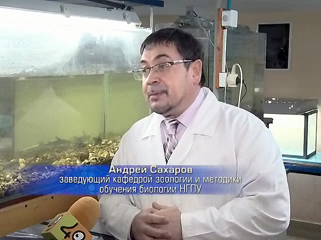 Новосибирские студенты и аспиранты спасают рыб